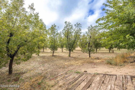 Property Image 65