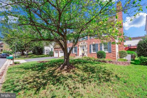 Property Image 91