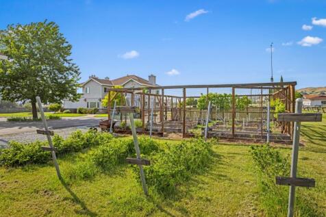 Property Image 66