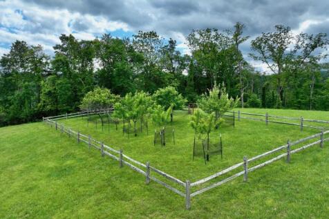 Property Image 63