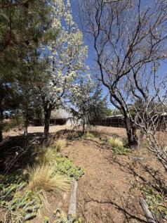 Property Image 58