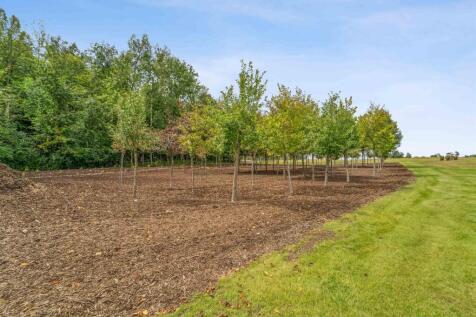 Property Image 64