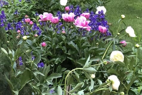 Property Image 32