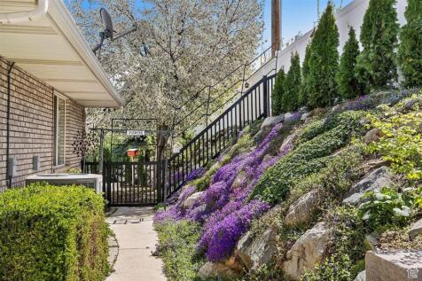 Property Image 53