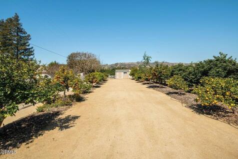Property Image 62