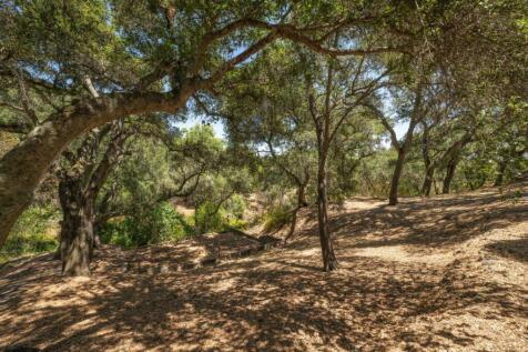Property Image 67