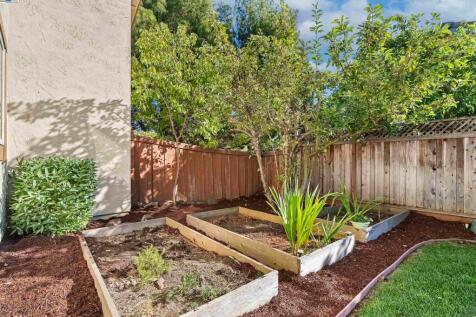 Property Image 55