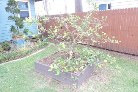Property Image 59
