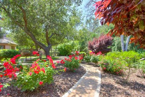Property Image 64