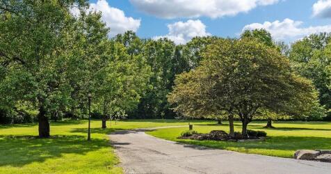 Property Image 68