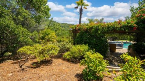Property Image 59