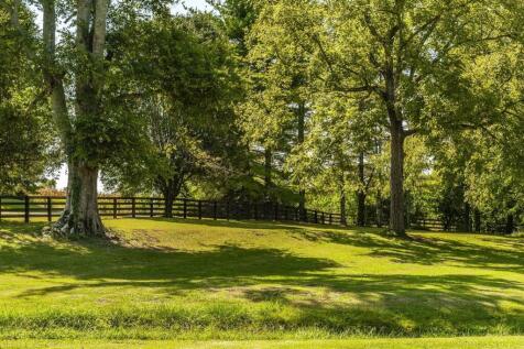 Property Image 67