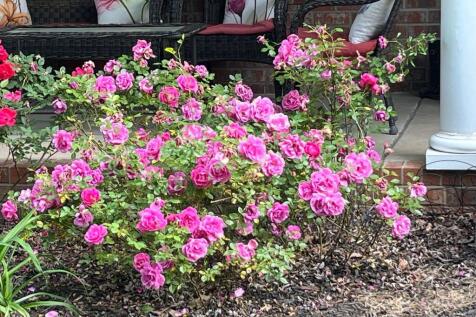 Property Image 65
