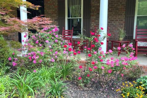 Property Image 67