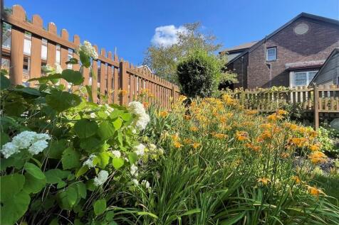 Property Image 29