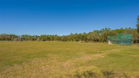 Property Image 66