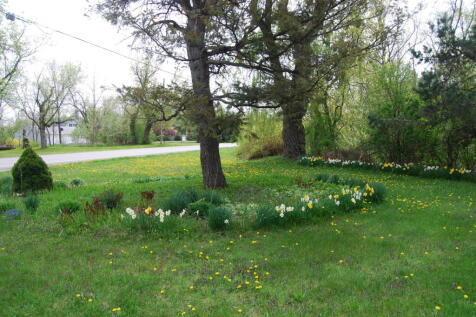 Property Image 54