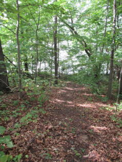 Property Image 55