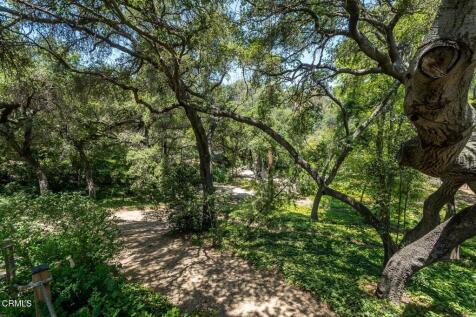 Property Image 69