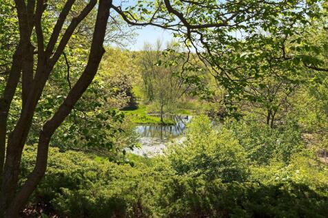 Property Image 56