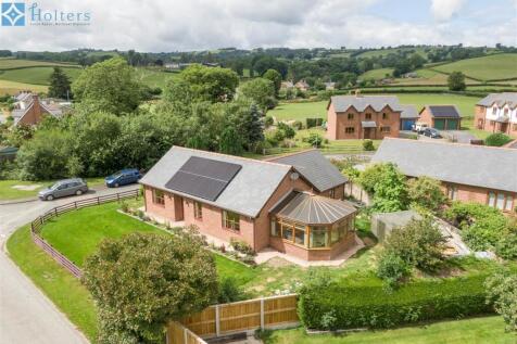 DJI_0487_1.jpg