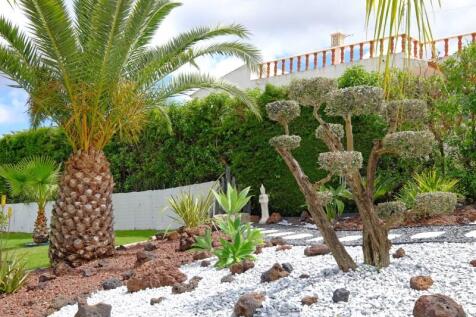 jardin 11