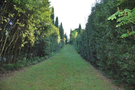 Property Image 35