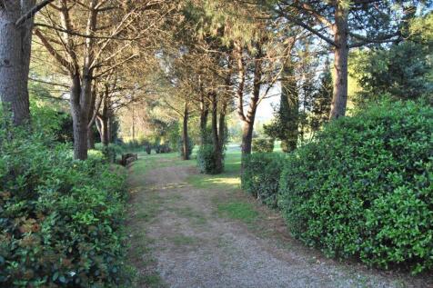 Property Image 36