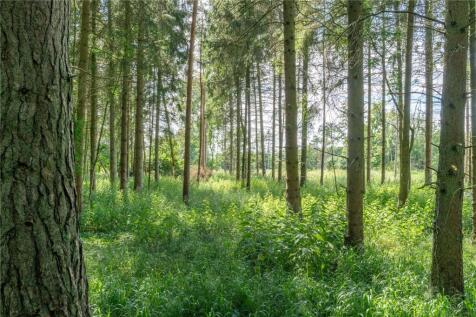 Woodland