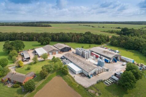 Main Yard &amp; Brewery