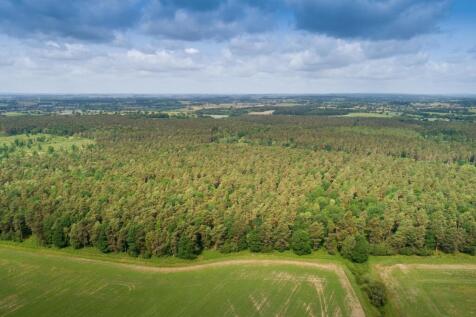Forestry