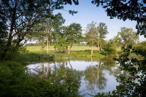 Pond