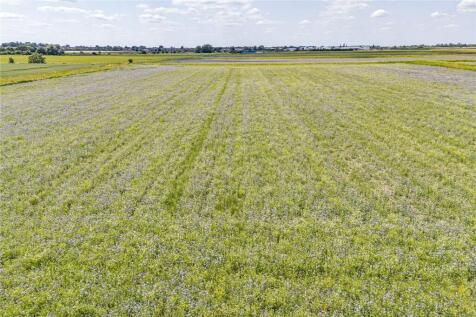 Lot 4 - Land