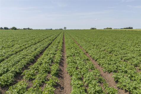Lot 1 - Land