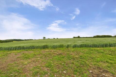 Fields To The Rear
