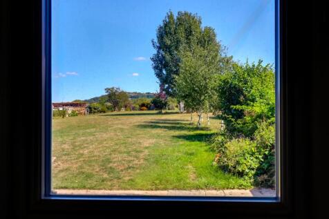 Living View.jpg