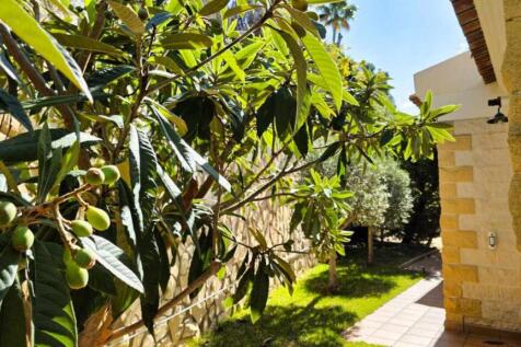 Property Image 52
