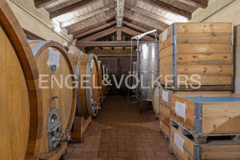 cellar