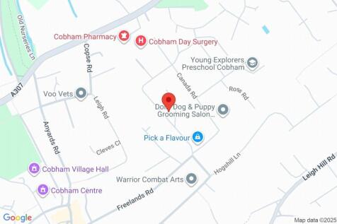 Google Maps Image