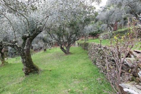 Property Image 51