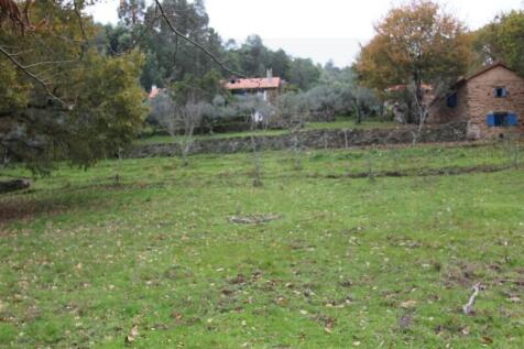 Property Image 60