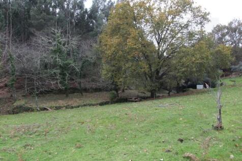 Property Image 61