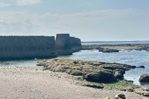 Buckie 