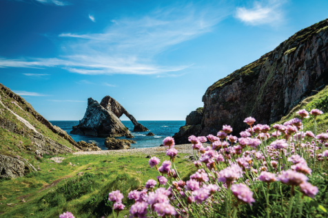 Bow fiddle rock