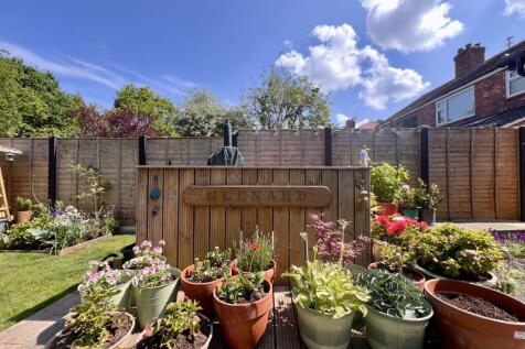 Close Up Garden