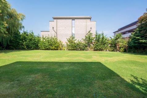 Back garden