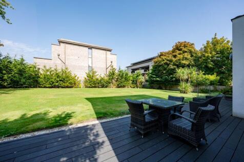 Back garden