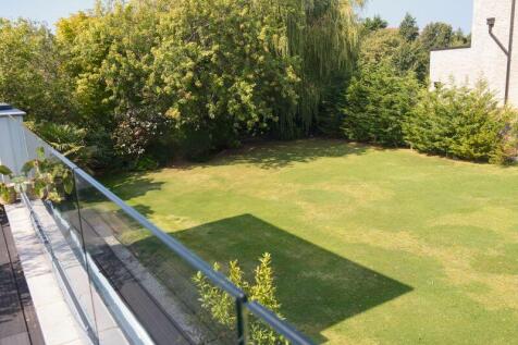 Back garden