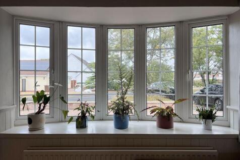 Living Room Window