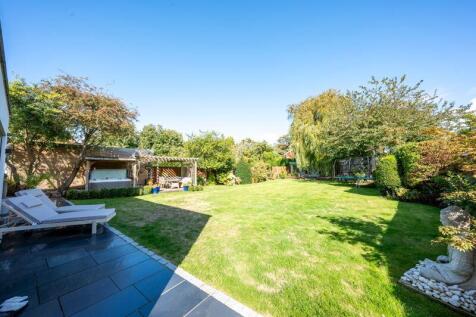 Back garden